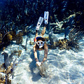 Ploutve Aqua Lung AMIKA