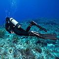 Ploutve Scubapro SEAWING NOVA